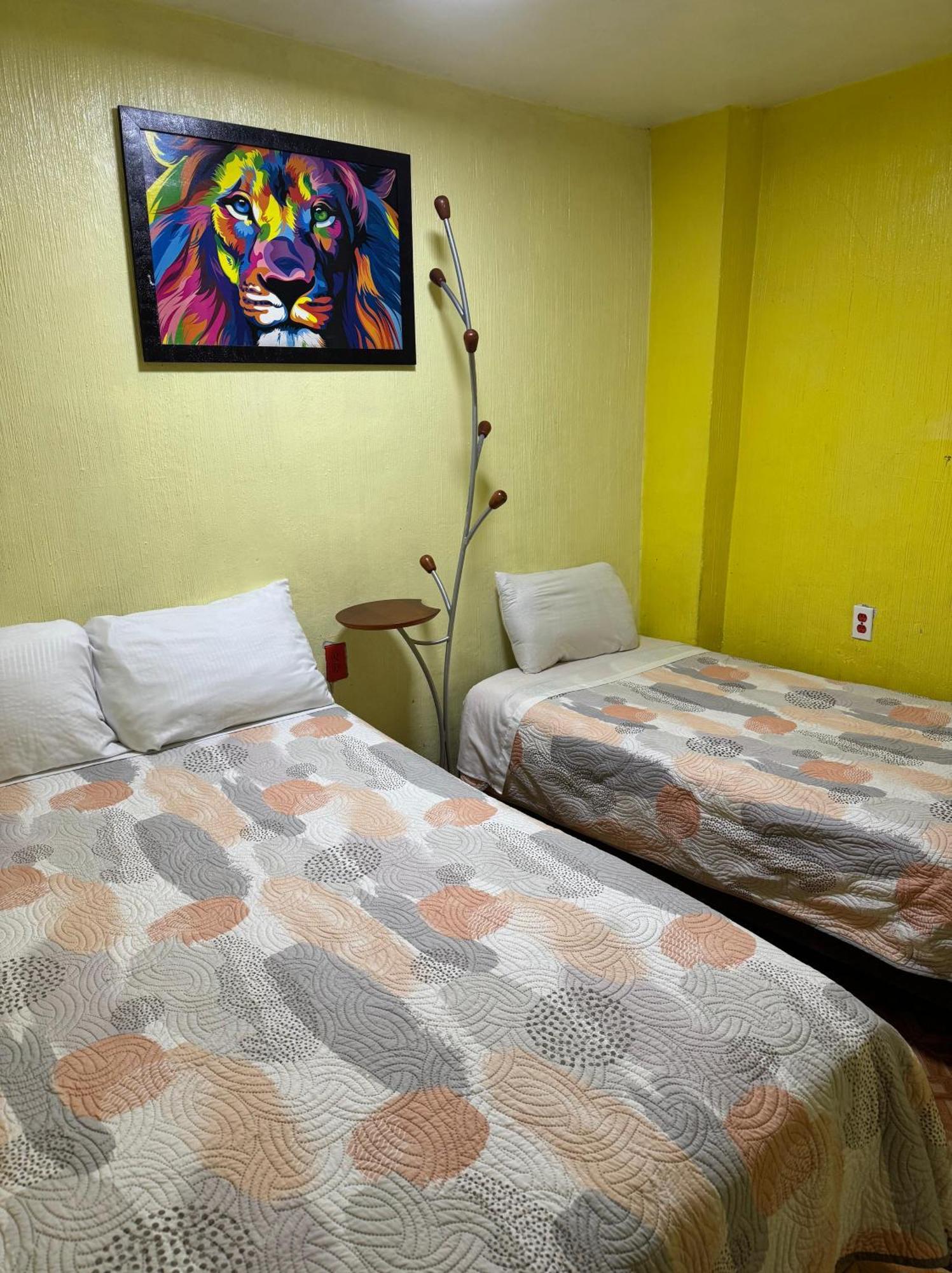 Alo Guest house Mexico City